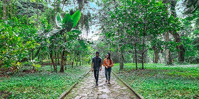 Professional Services