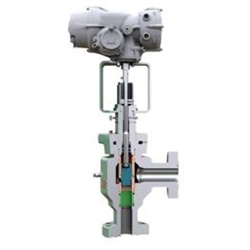 CAM30 Plug & Cage Choke Valves-PSL3-10K