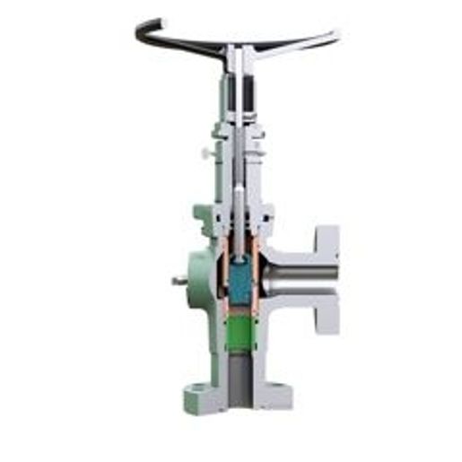 CAM30 Plug & Cage Choke Valves-PSL3-10K