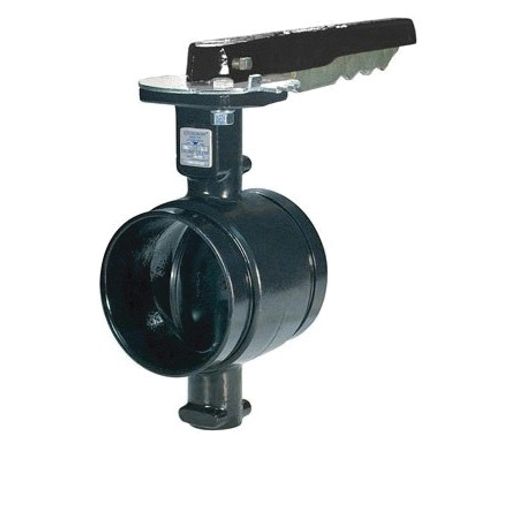 4" Butterfly Valve for Hiride Mixing Table