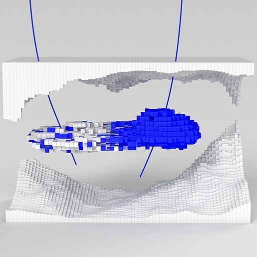 Eclipse Blackoil Reservoir Simulation - RILS